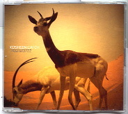 Kosheen - Catch CD 2